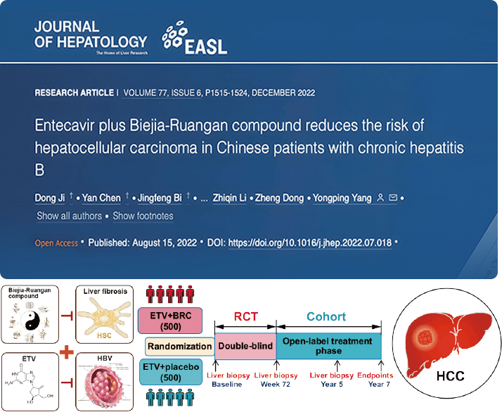 复方鳖甲软肝片联合抗病毒药物治疗，可显著降低肝癌发生
